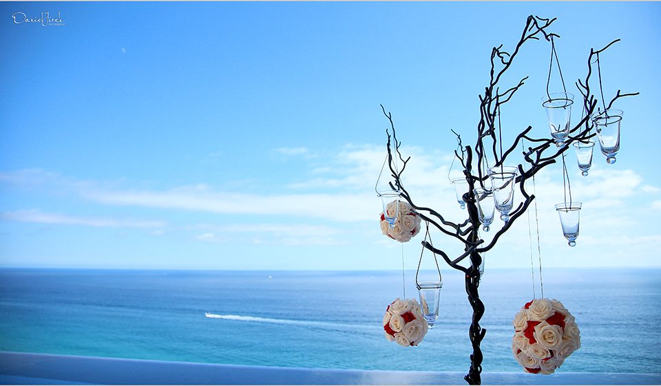 Art Weddings in Los Cabos at Villa Bellissima at Pedregal, Asher from A Baja Romance Weddings by Karla Casillas
