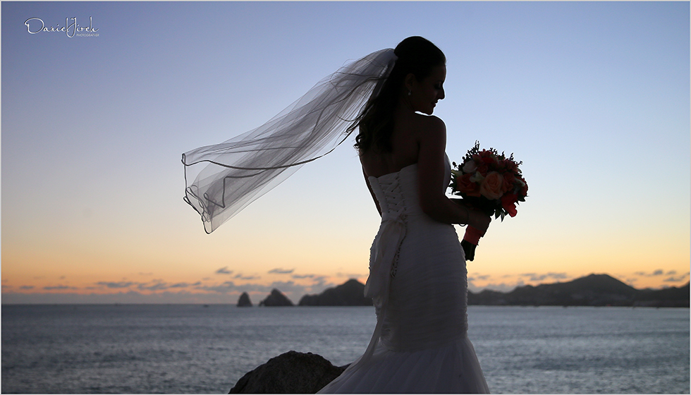 Art Wedding in Los Cabos at Sunset Da Mona Lisa by Tammy Wolff