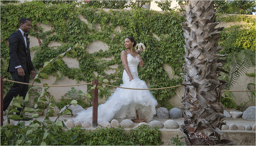 Welk Sirena del Mar Cabo Weddings Services by Tammy Wolff