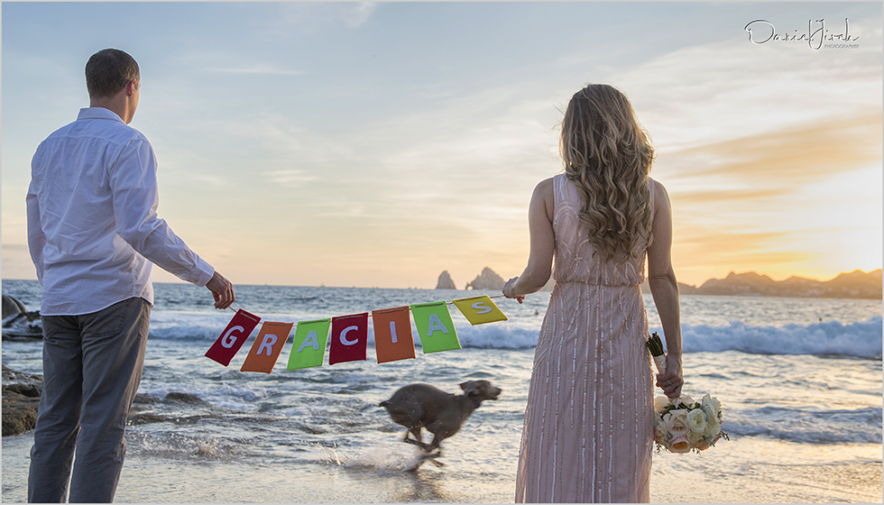 Cabo San Lucas Elopement and Engagement Pictures at Flora Farm and Sunset Da Mona Lisa